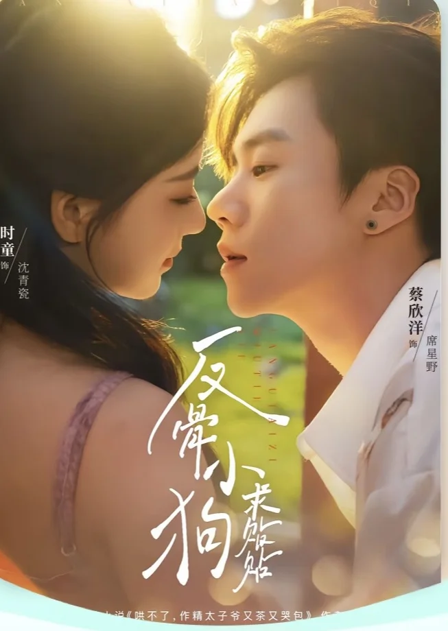 强推：小娇夫or又争又抢