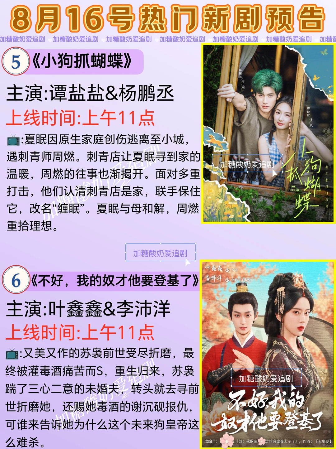 天花板短剧💥8月16日热门短剧预告