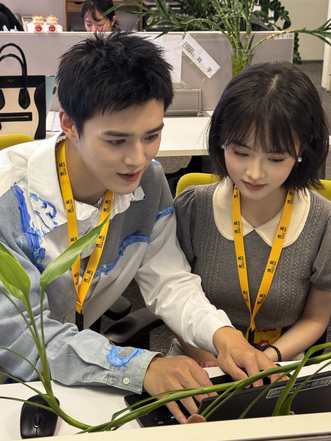 是紫薇！是尔康！