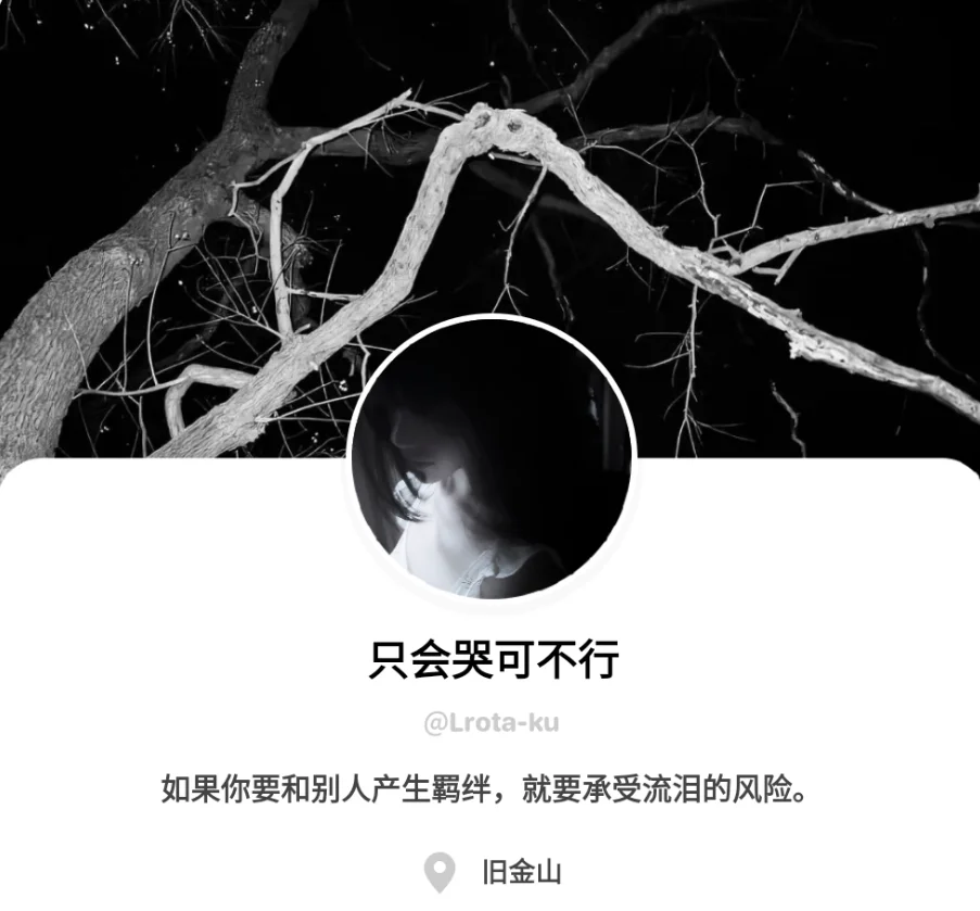 安卓有没有这样排版的软件