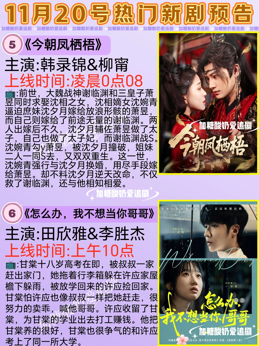 天花板短剧💥11月20日热门短剧预告