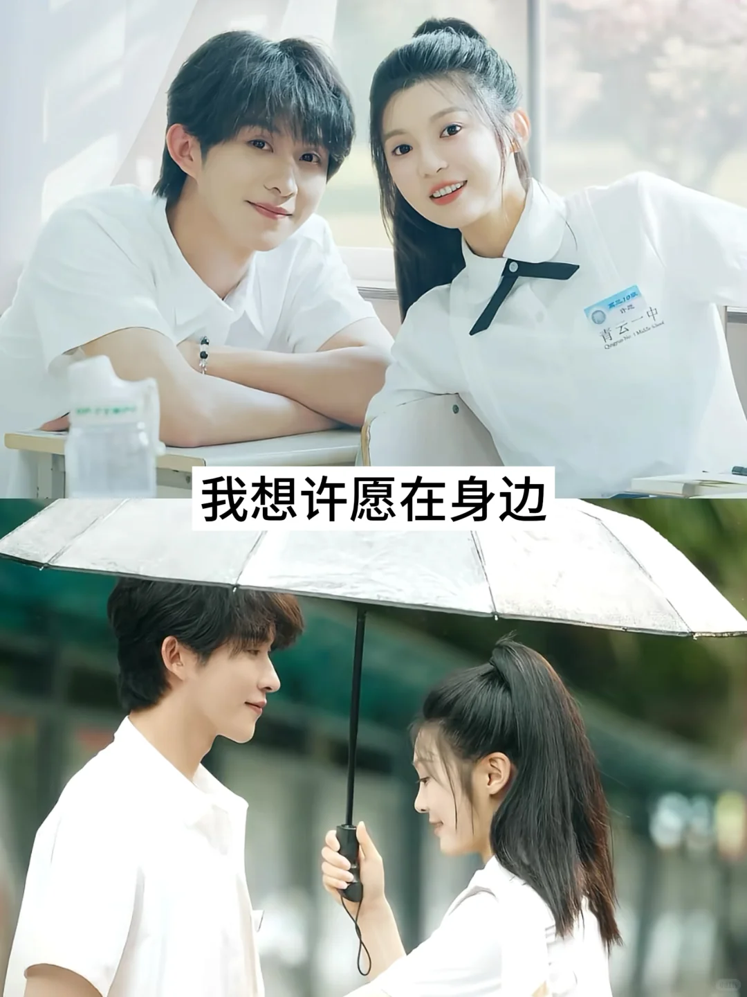 推荐17部热播短剧，快去追！！！