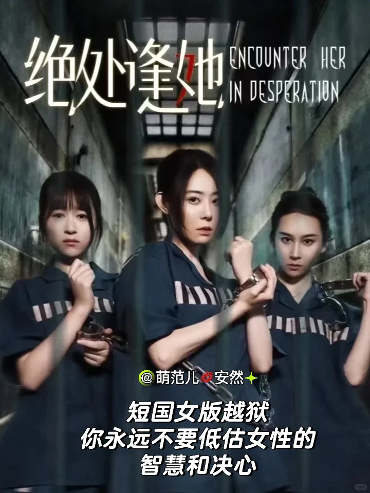 有啥三观立意超绝、不落俗套的宝藏短剧细糠