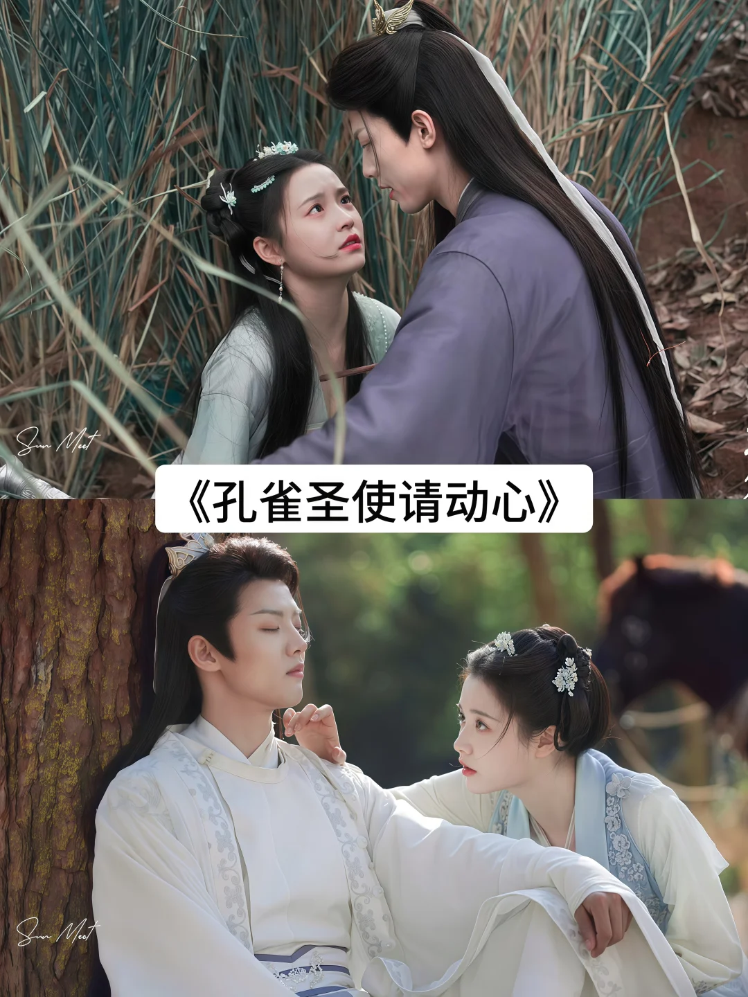 哪部网剧是你的top.1呢？