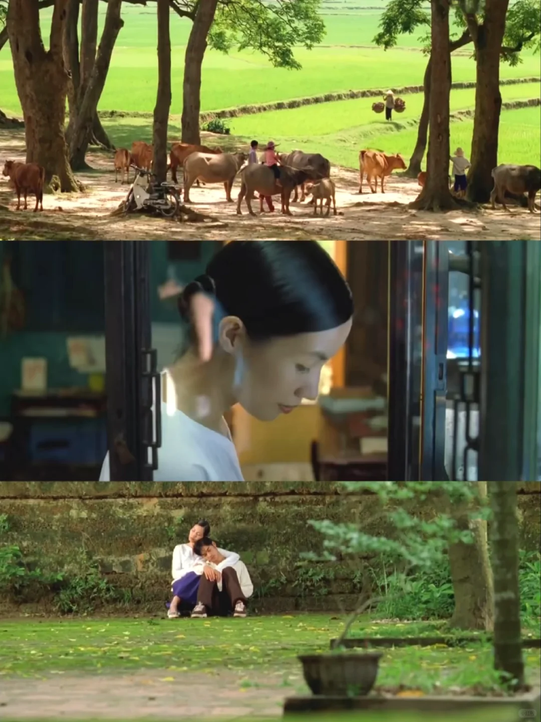 电影推荐🎬｜夏天的滋味🍏