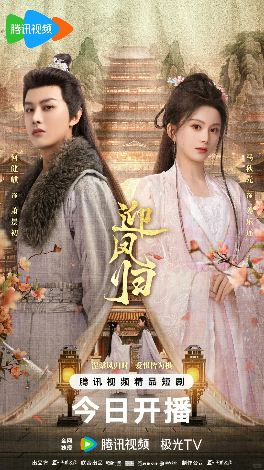  救命！粉丝按头的横屏短剧，看剧忘了喂猫