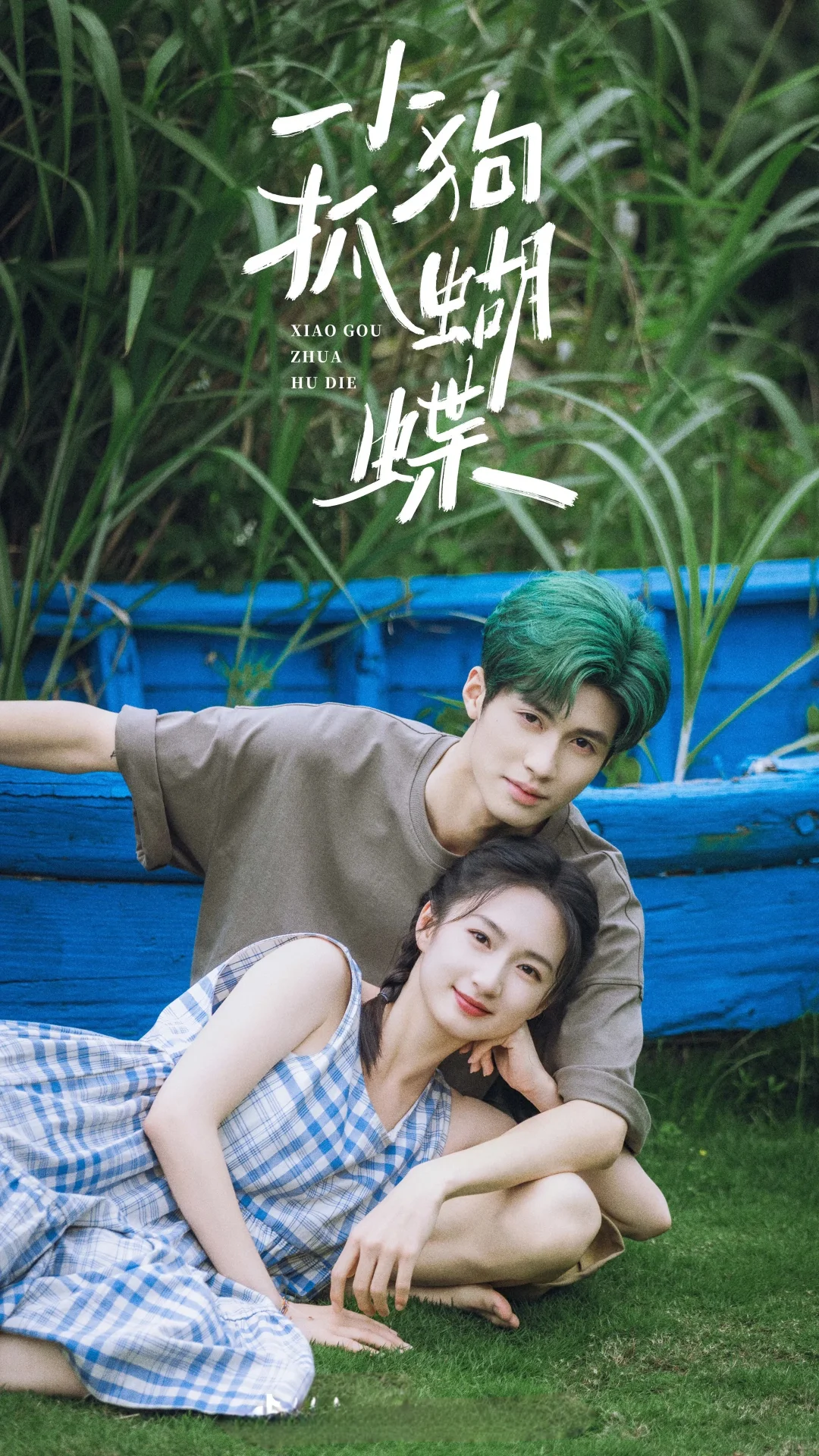 这份治愈片单请收下，慢慢看，慢慢被温暖