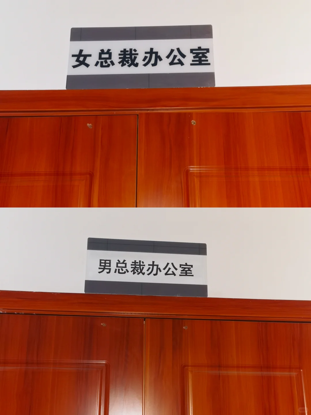 笑不活了😅｜在重庆，体验当总裁的一天