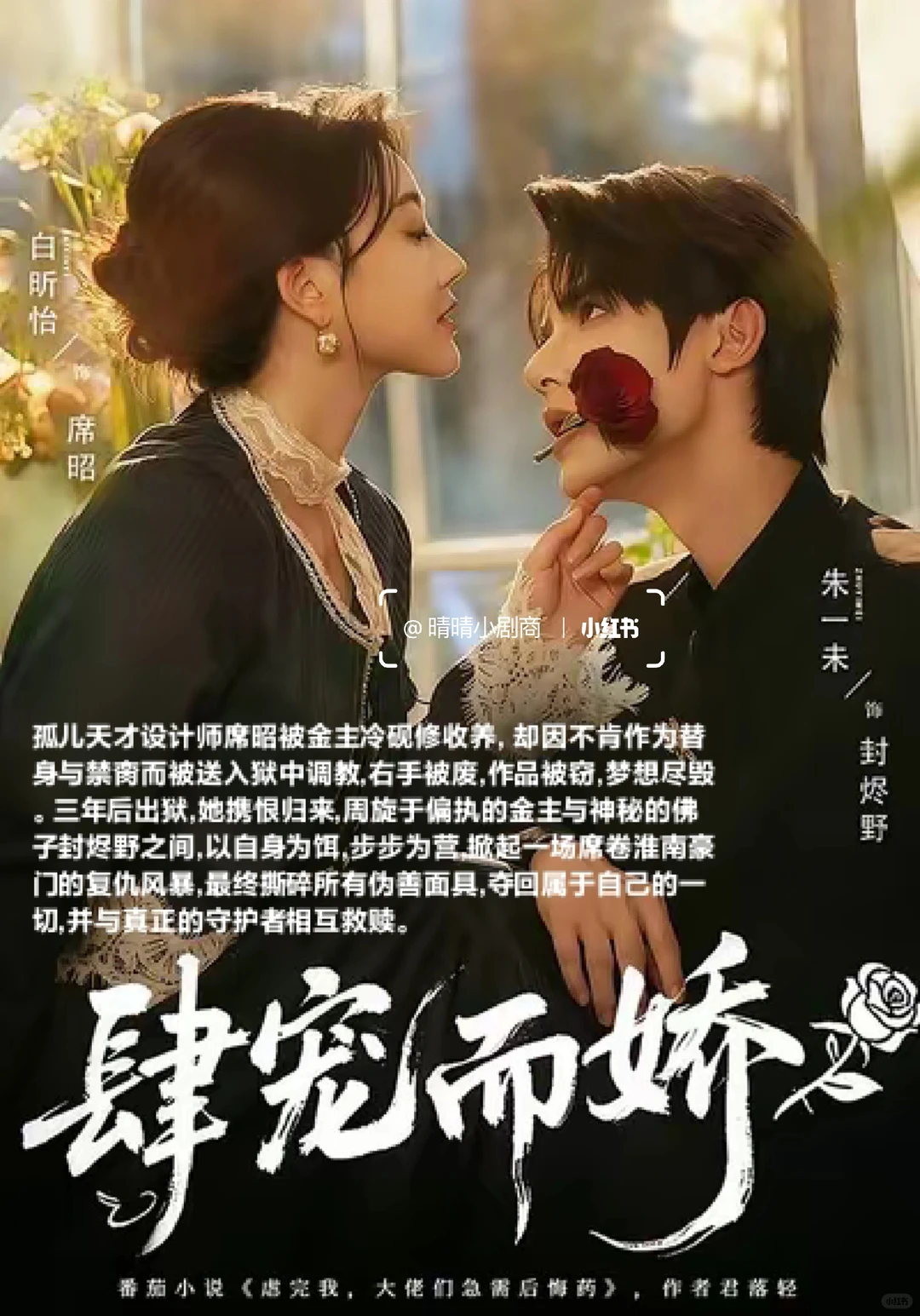 短剧排行榜，剧荒的宝子一定要看！