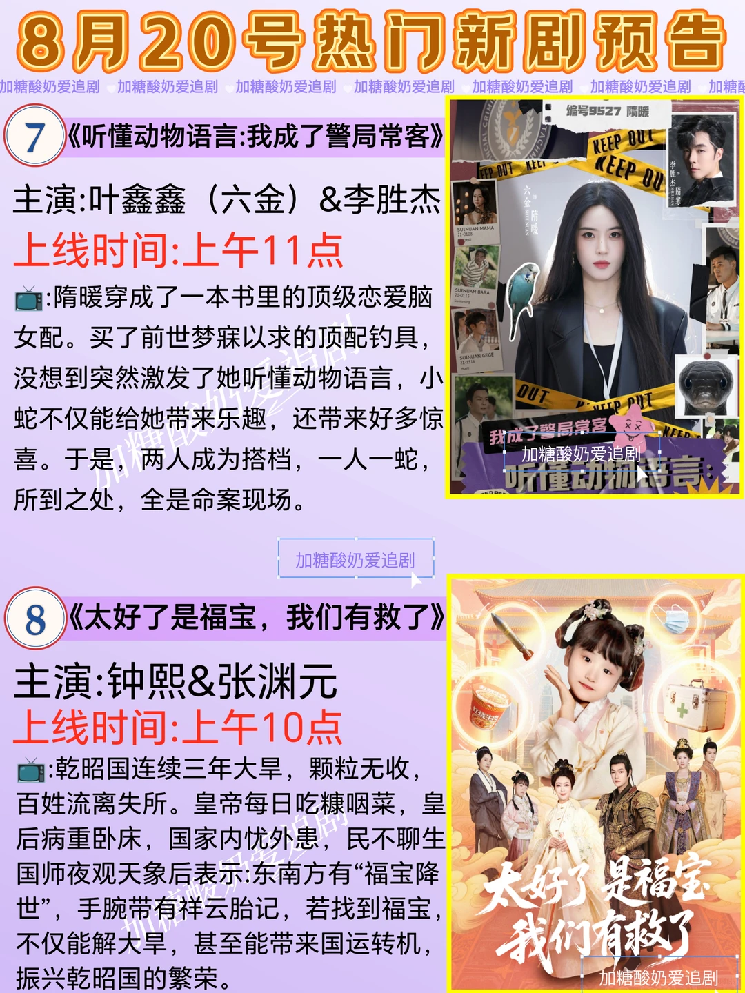 天花板短剧💥8月20日热门短剧预告