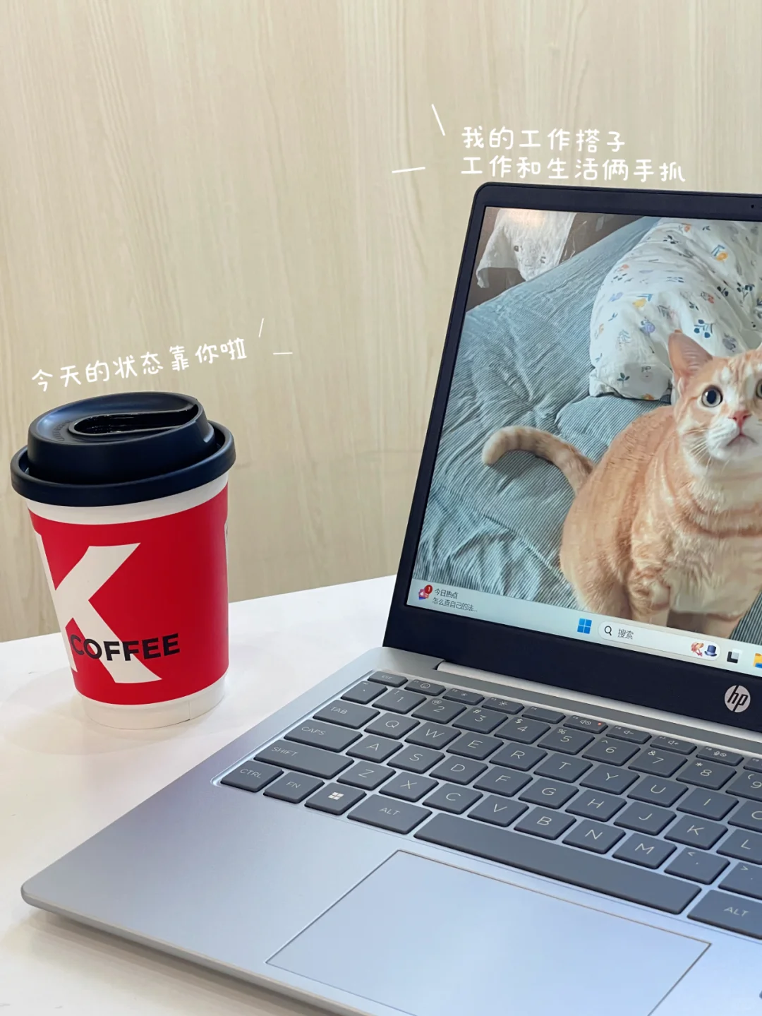 笔记本不能下载的软件！小白必进！