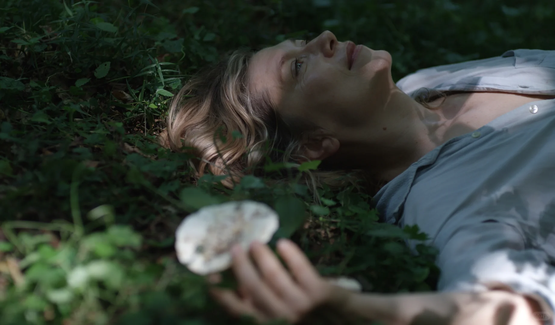 《欲望界线》, 一幅不服从与自由的图景。