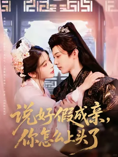 合集||盘点这几个月值得收藏的小众好剧