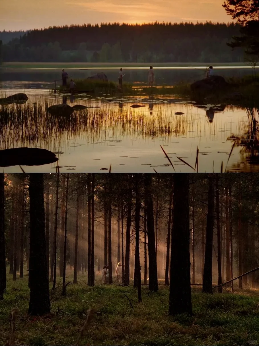 找回童年！这部治愈电影让我泪目了😭