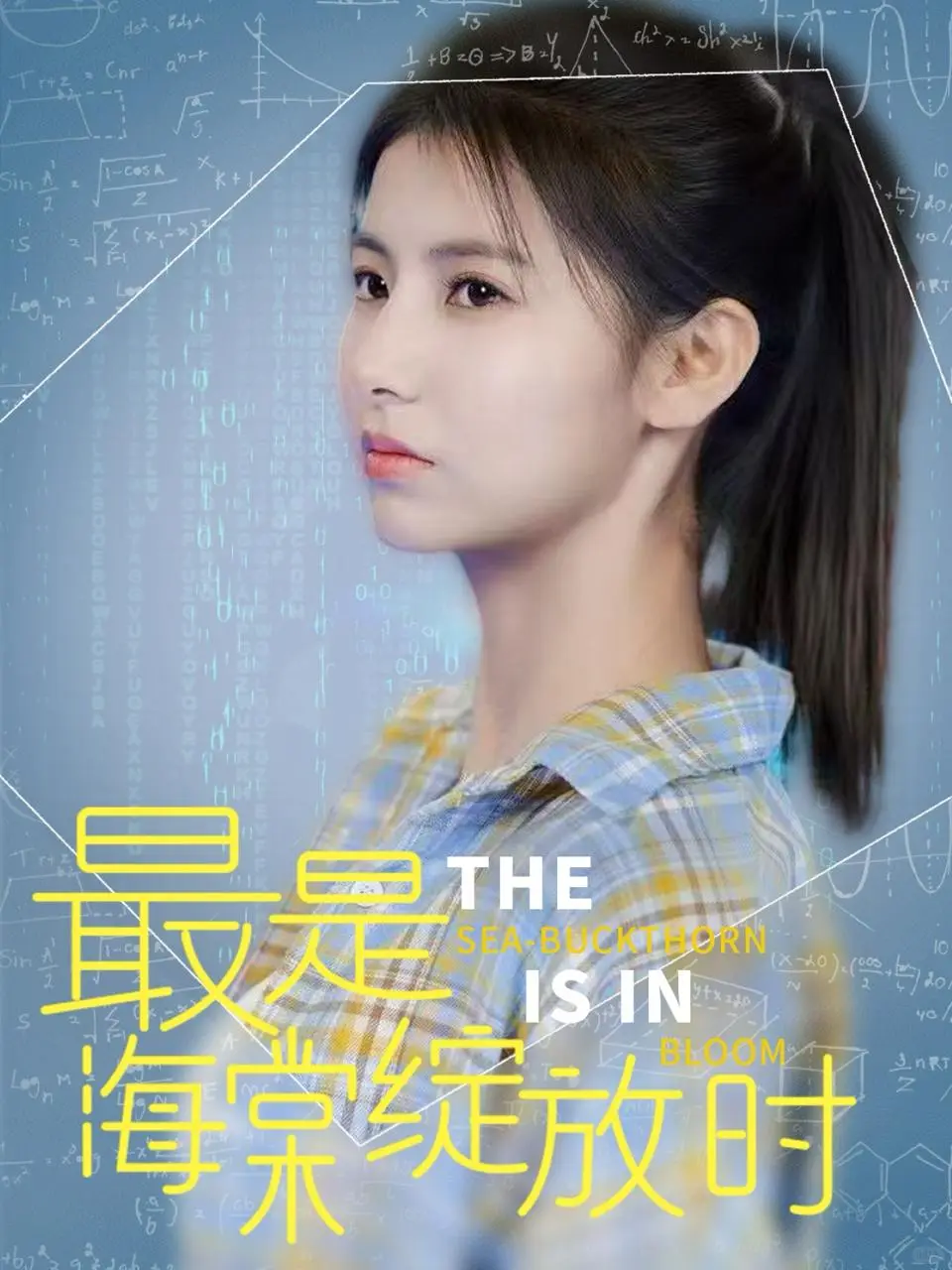 热剧推荐《最是海棠绽放时》天才黑客重生复