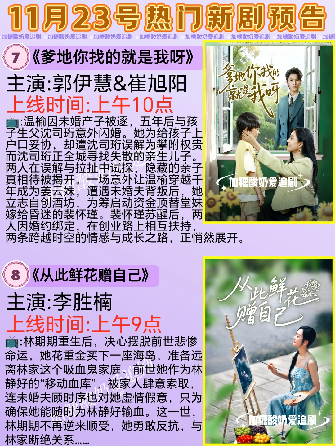 天花板短剧💥11月23日热门短剧