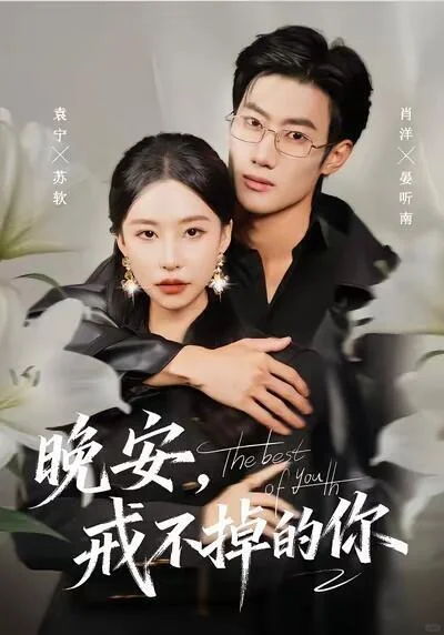 晚安戒不掉的你 强推