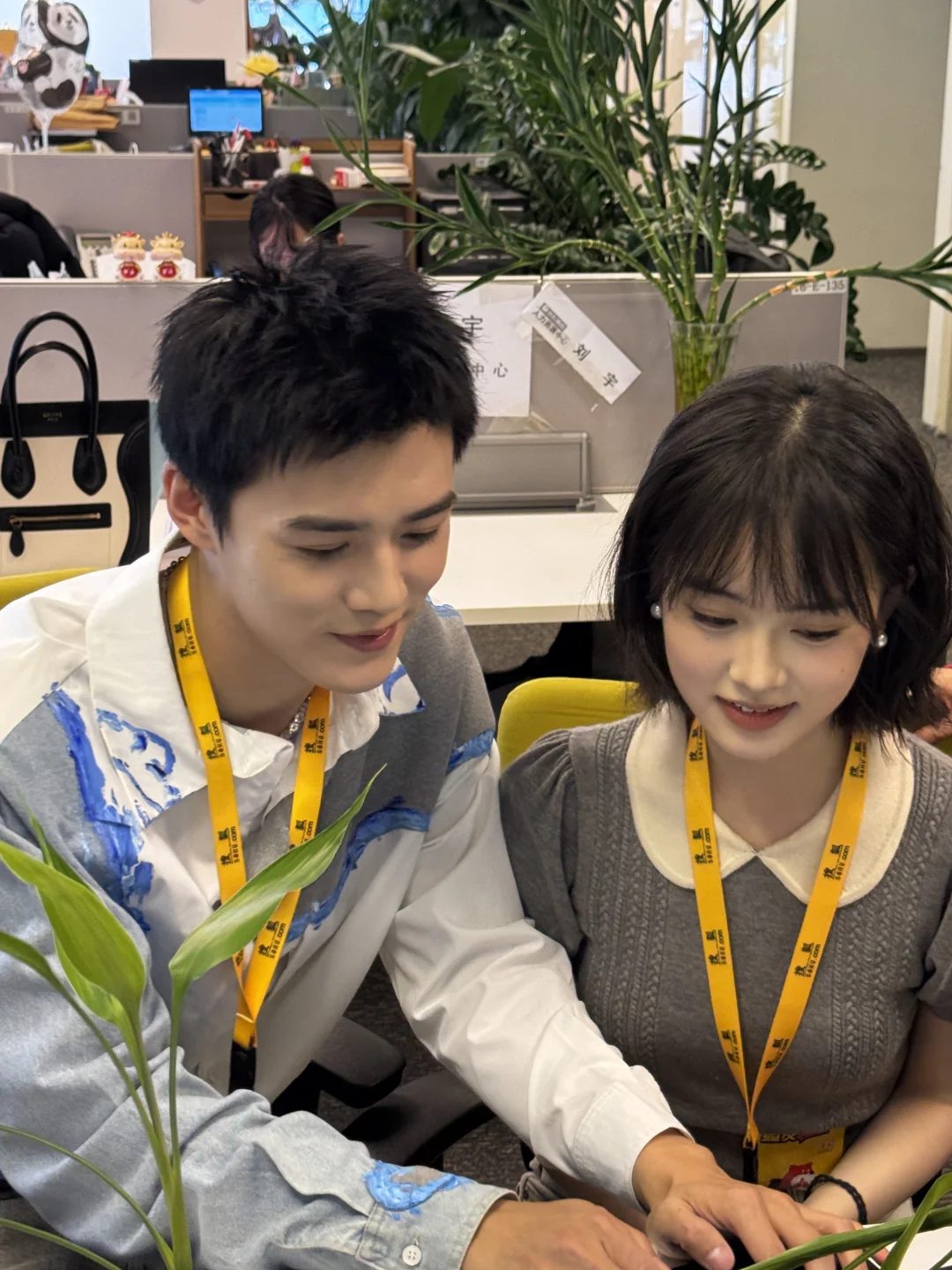 是紫薇！是尔康！