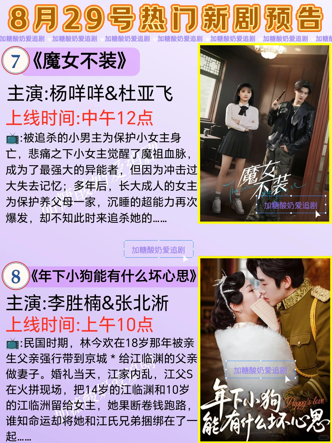 天花板短剧💥8月29日热门短剧预告