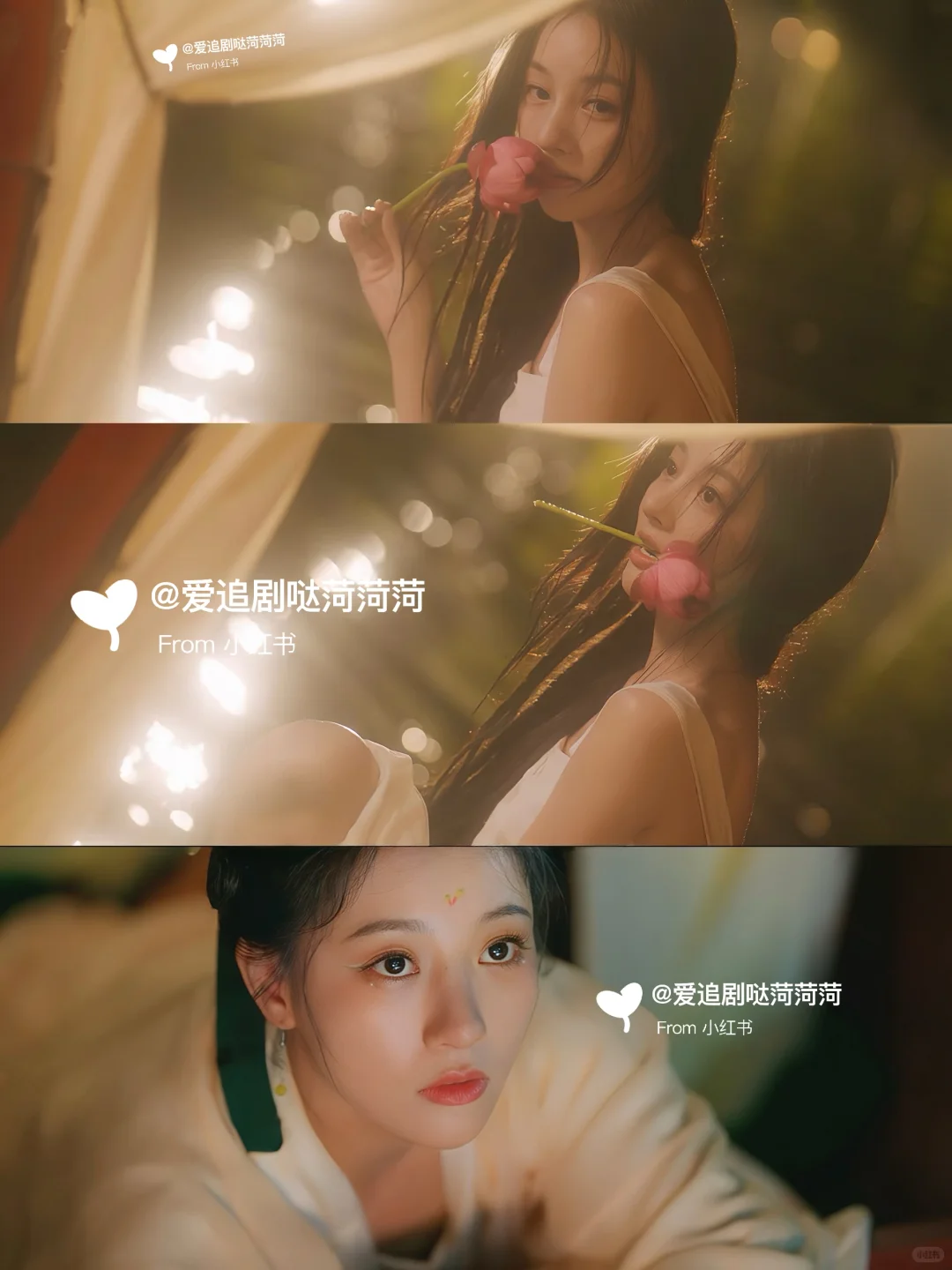 高颜值‼️最新上映背德双强电视剧🔥