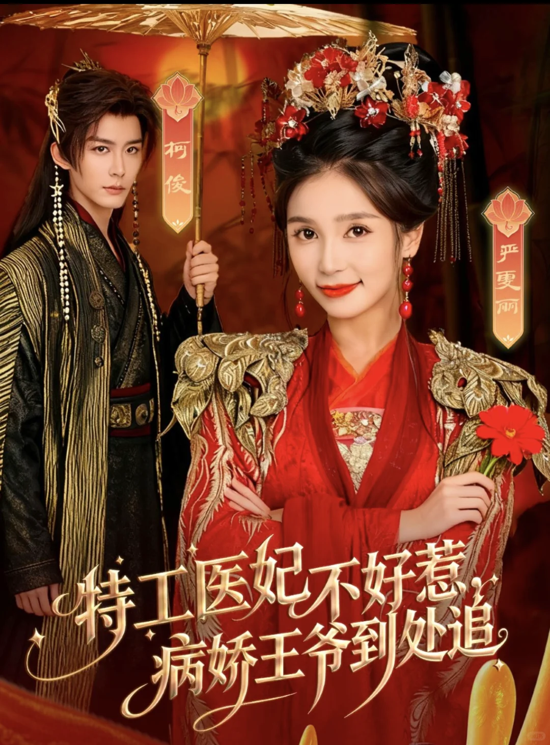 🎬『11月19日』短剧上新｜欢迎推荐