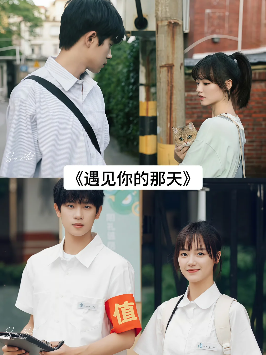 哪部网剧是你的top.1呢？