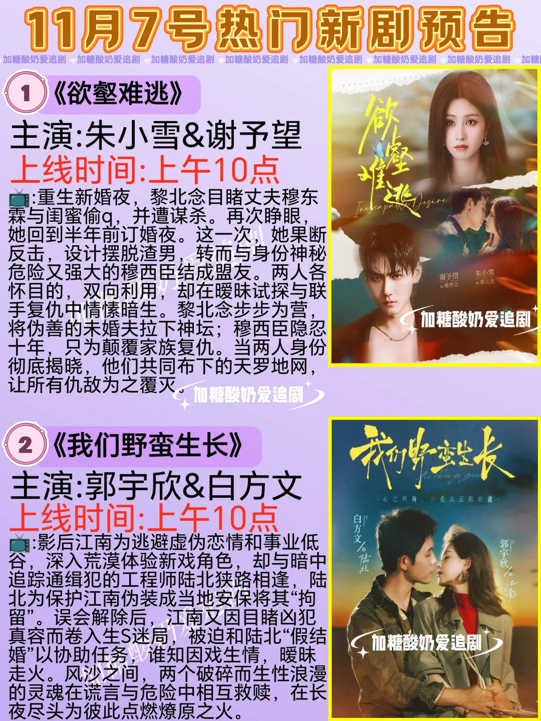 天花板短剧💥11月7日热门短剧预告