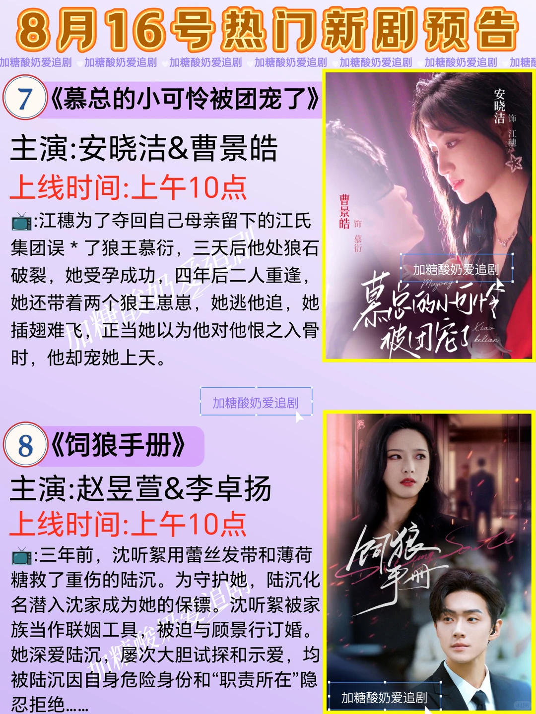 天花板短剧💥8月16日热门短剧预告