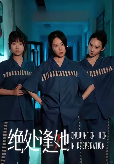 合集||盘点这几个月值得收藏的小众好剧