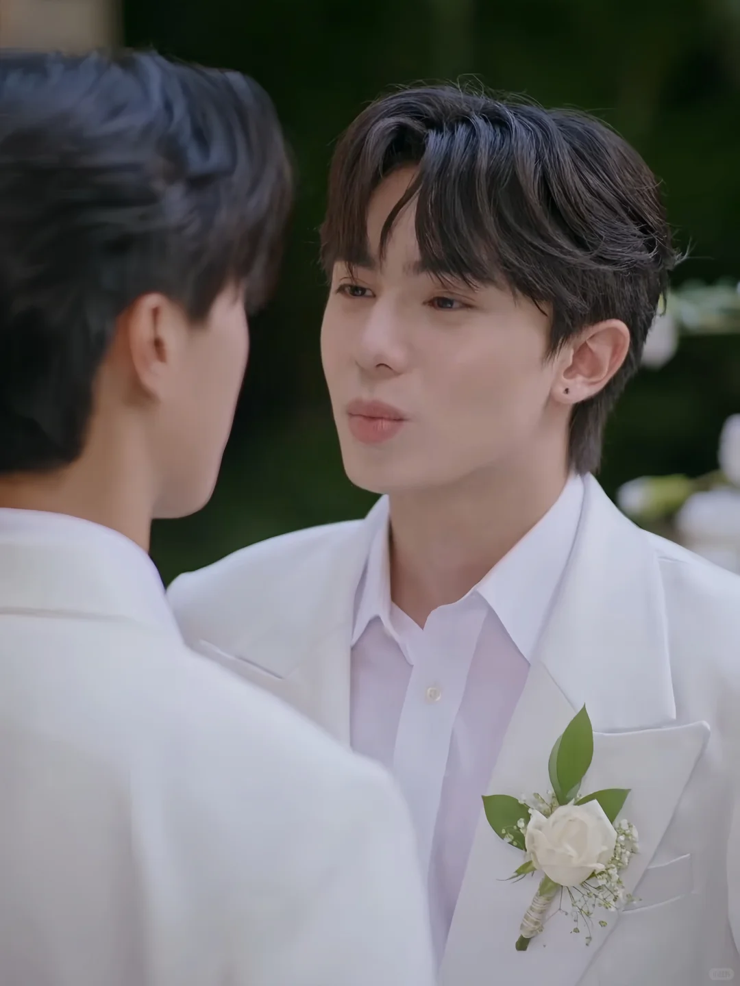 全世界终于癫成了短国想要的样子了~