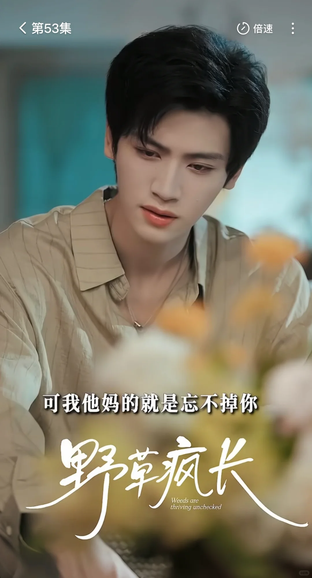 这周最佳!!!双向救赎姐弟恋颜值太高太甜了