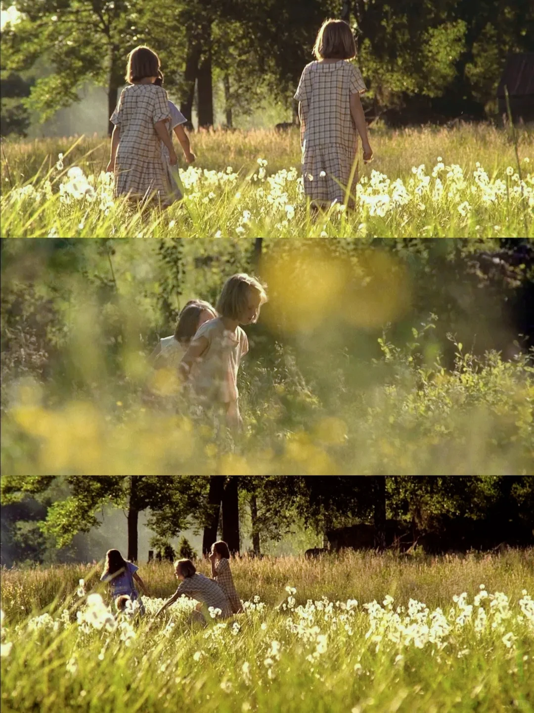 找回童年！这部治愈电影让我泪目了😭