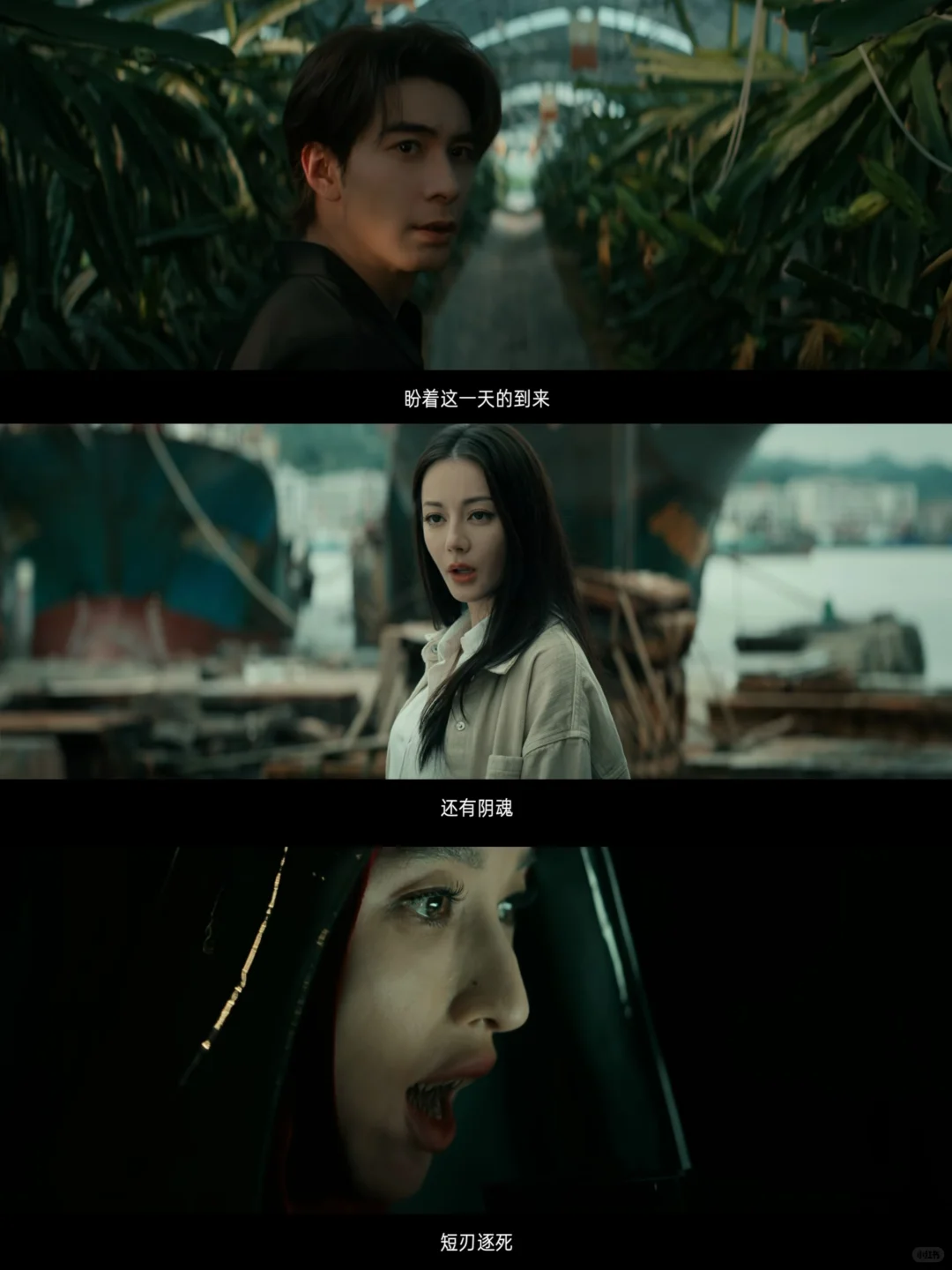 终于播了‼️第一集就杀疯了