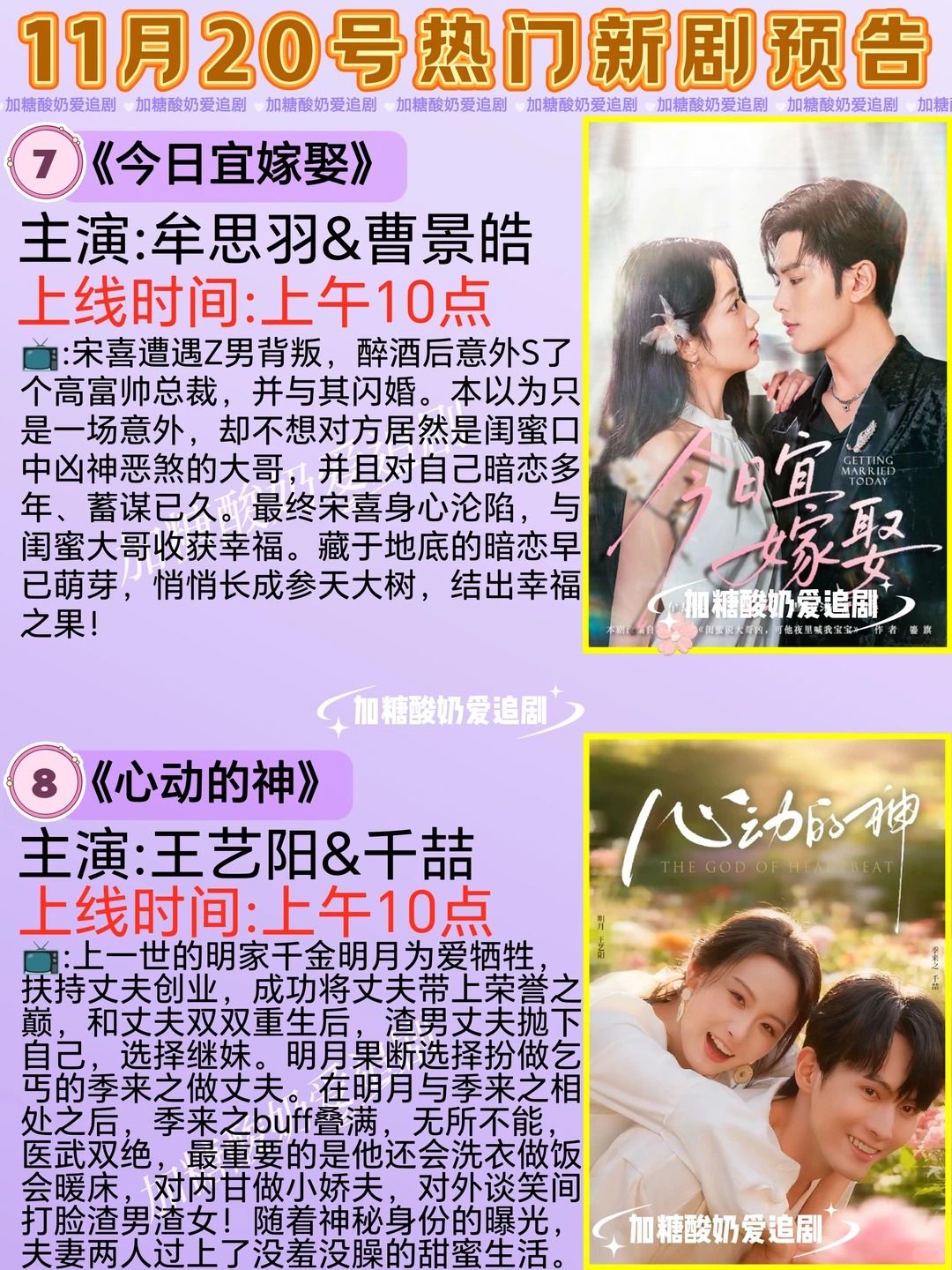 天花板短剧💥11月20日热门短剧预告