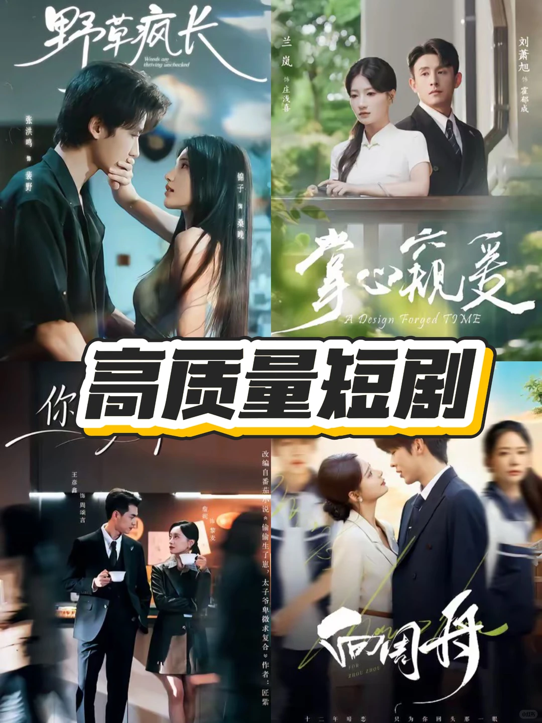 高质量短剧来喽～