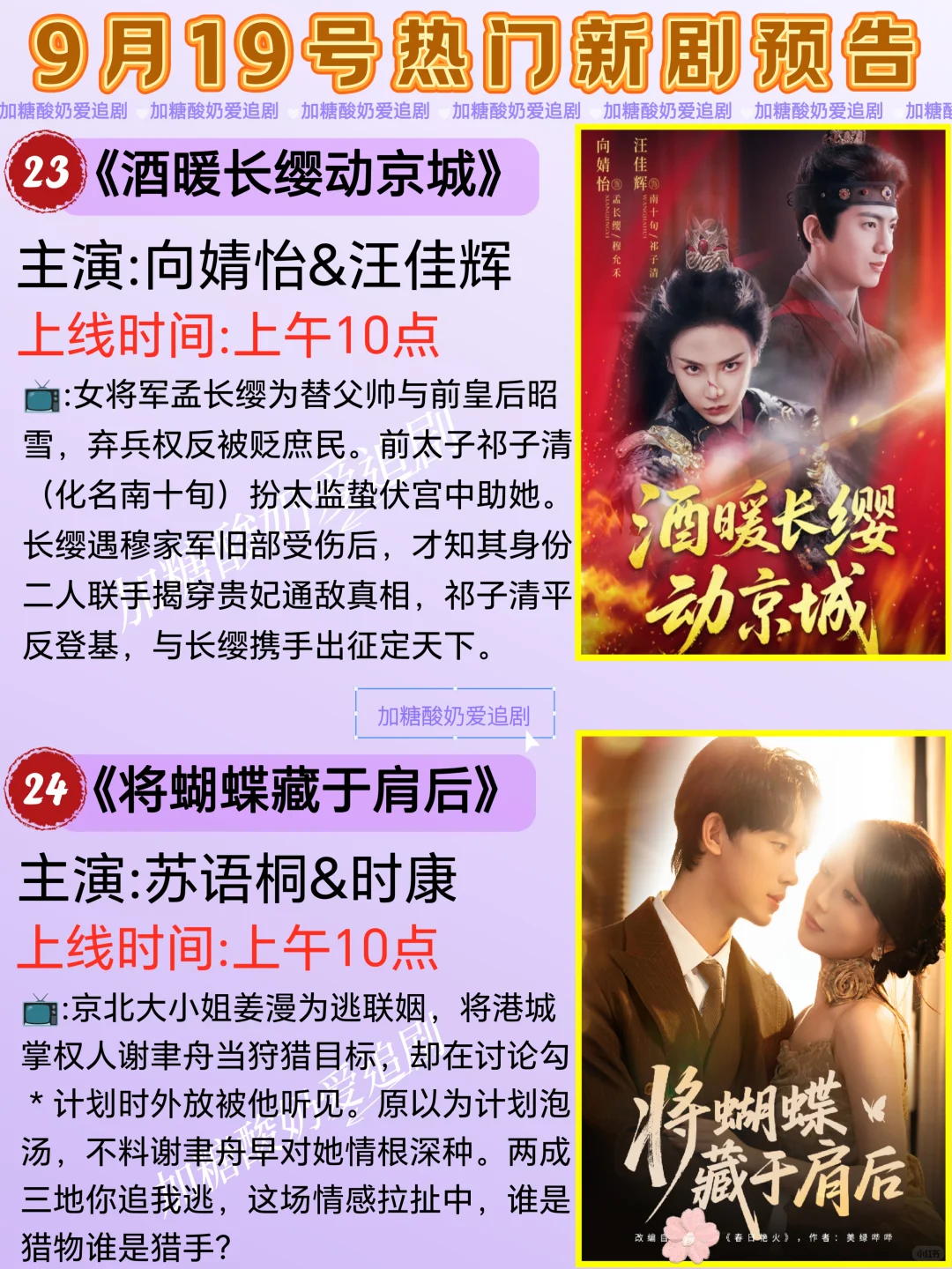 天花板短剧💥9月19日热门短剧预告