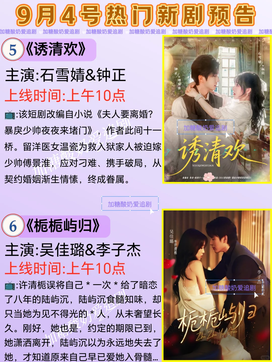 天花板短剧💥9月4日热门短剧预告