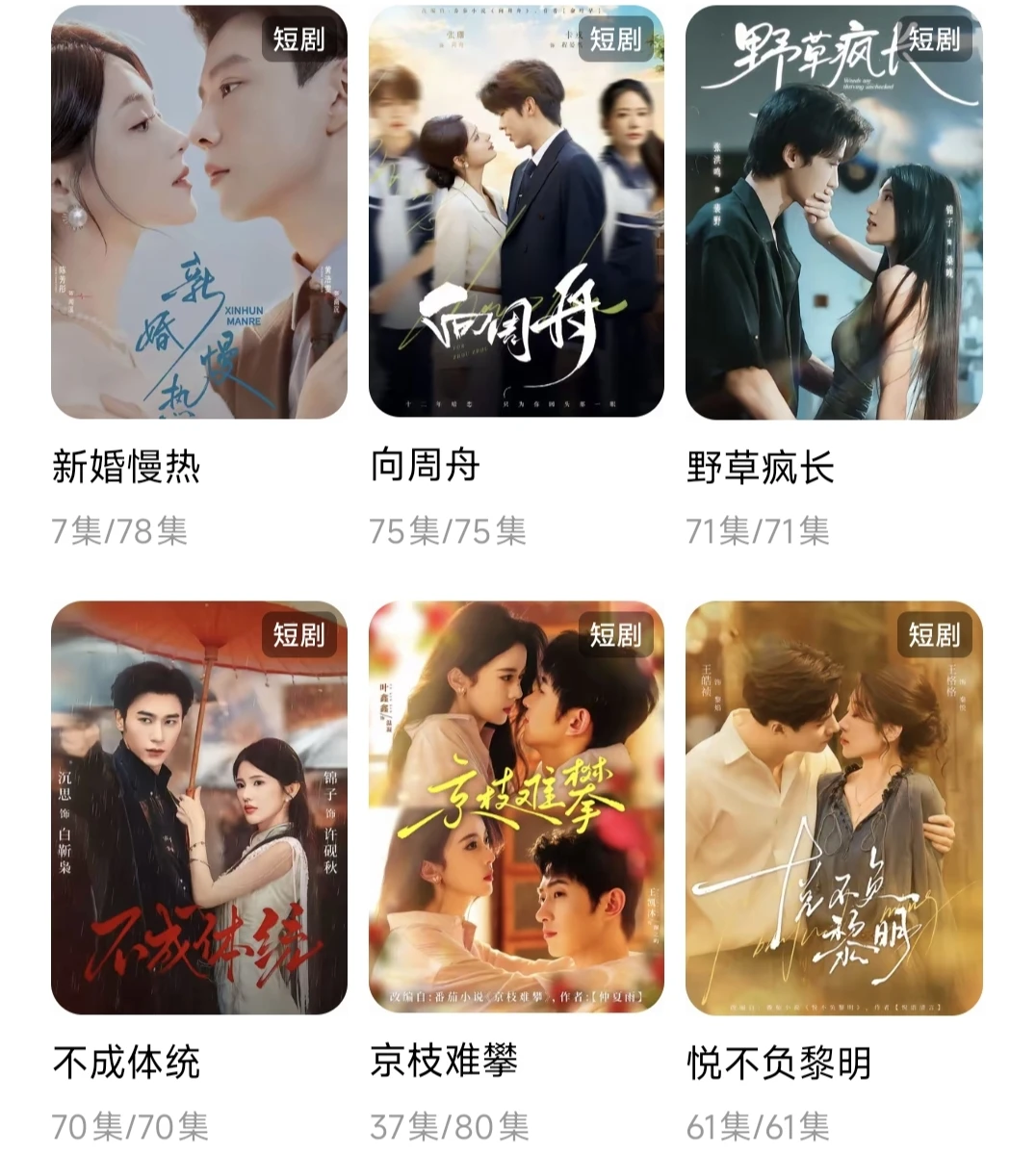 我的短剧收藏清单