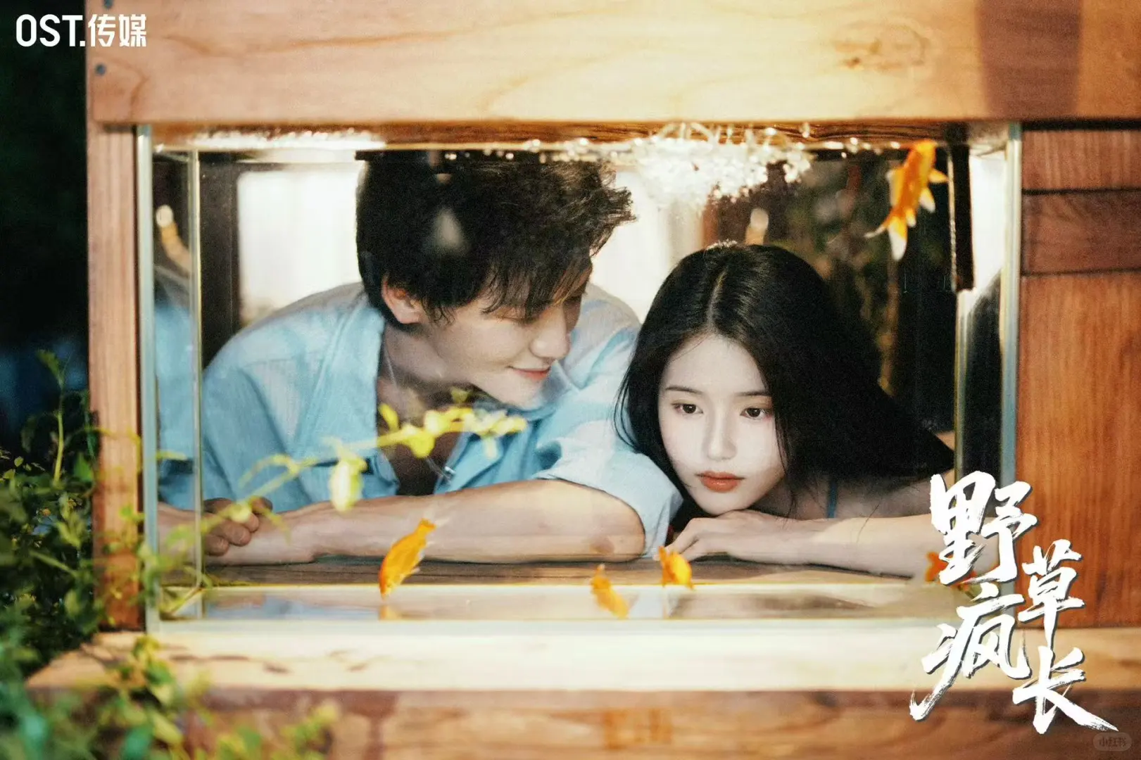 OST最新短剧定档11.14上线‼️‼️‼️