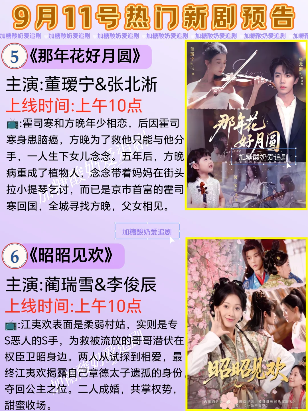 天花板短剧💥9月11日热门短剧预告