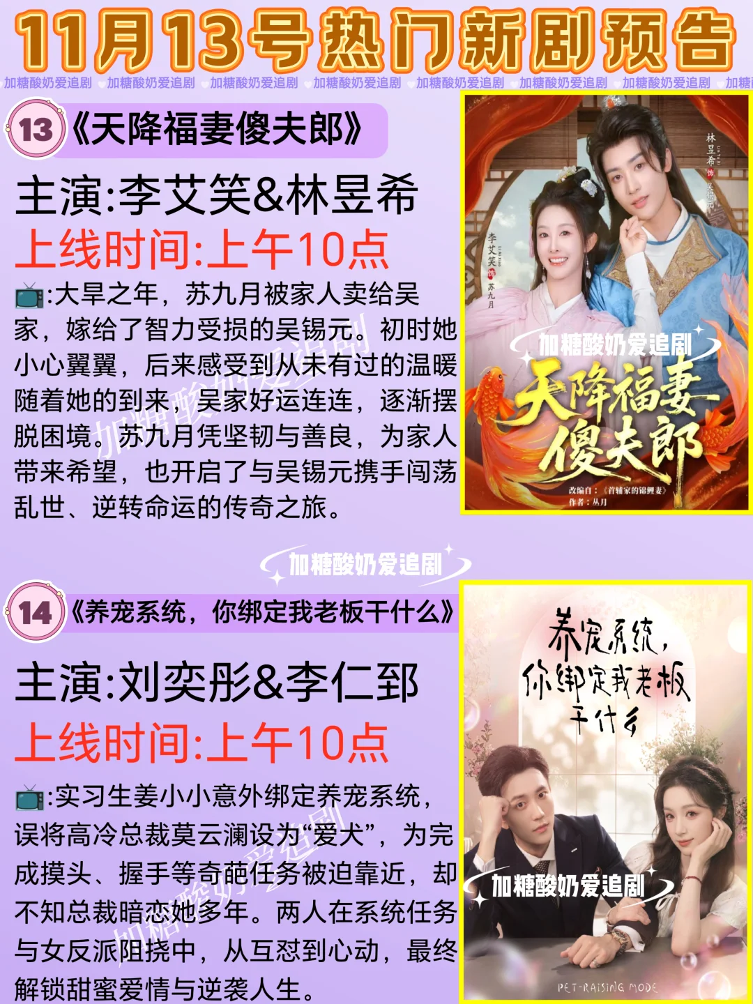 天花板短剧💥11月13日热门短剧预告