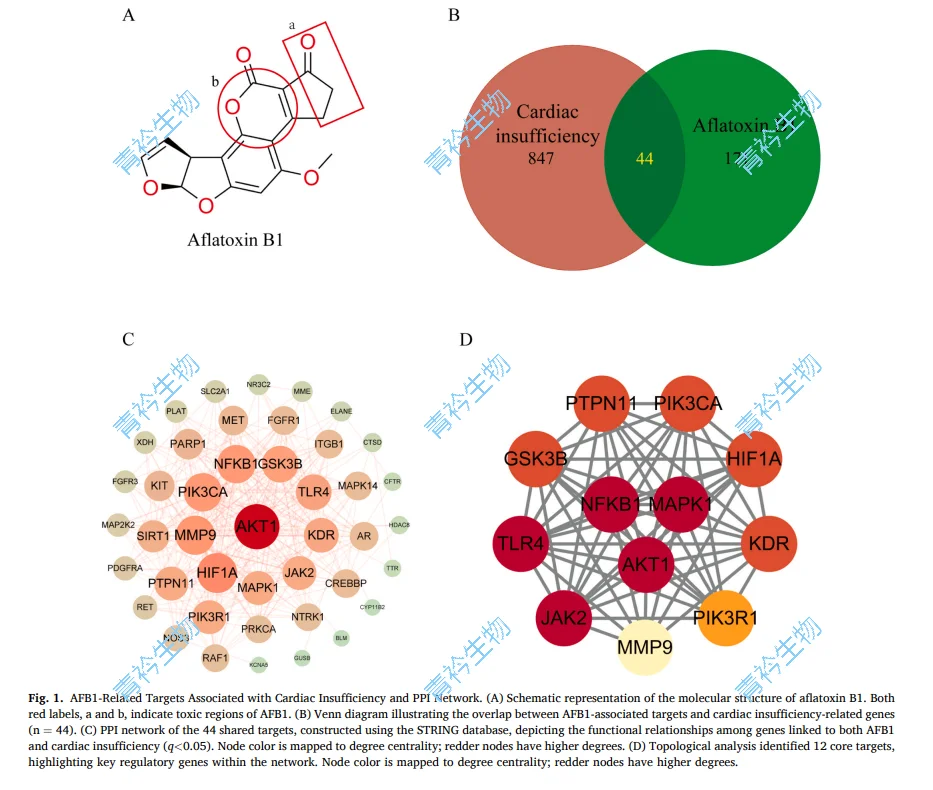 分享★分子对接★第二期常见问题与软件分享