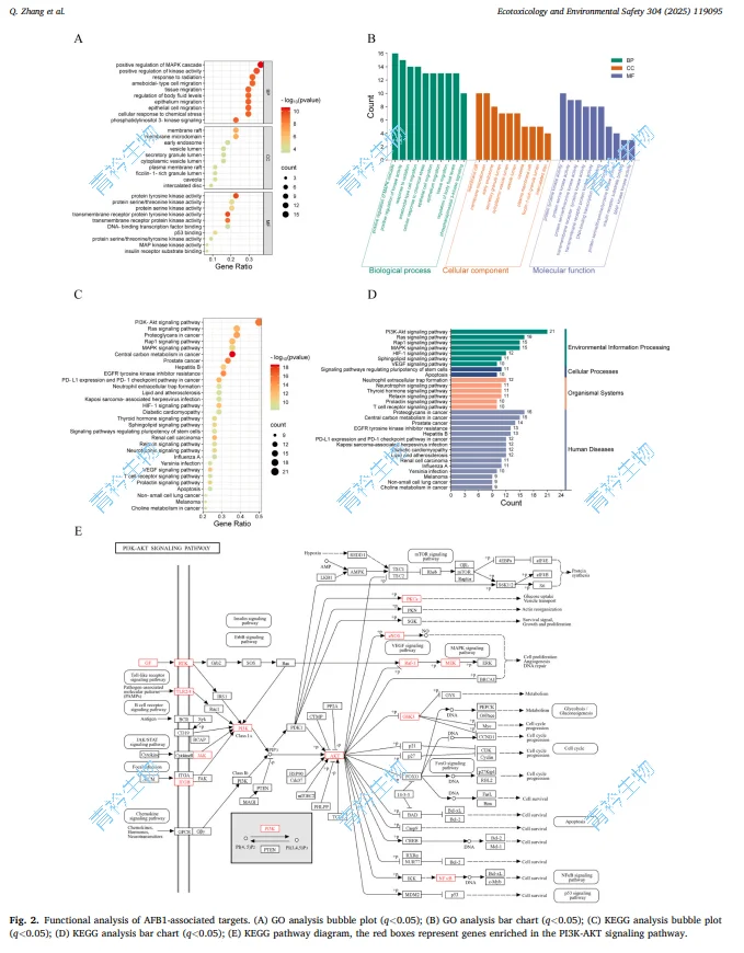 分享★分子对接★第二期常见问题与软件分享