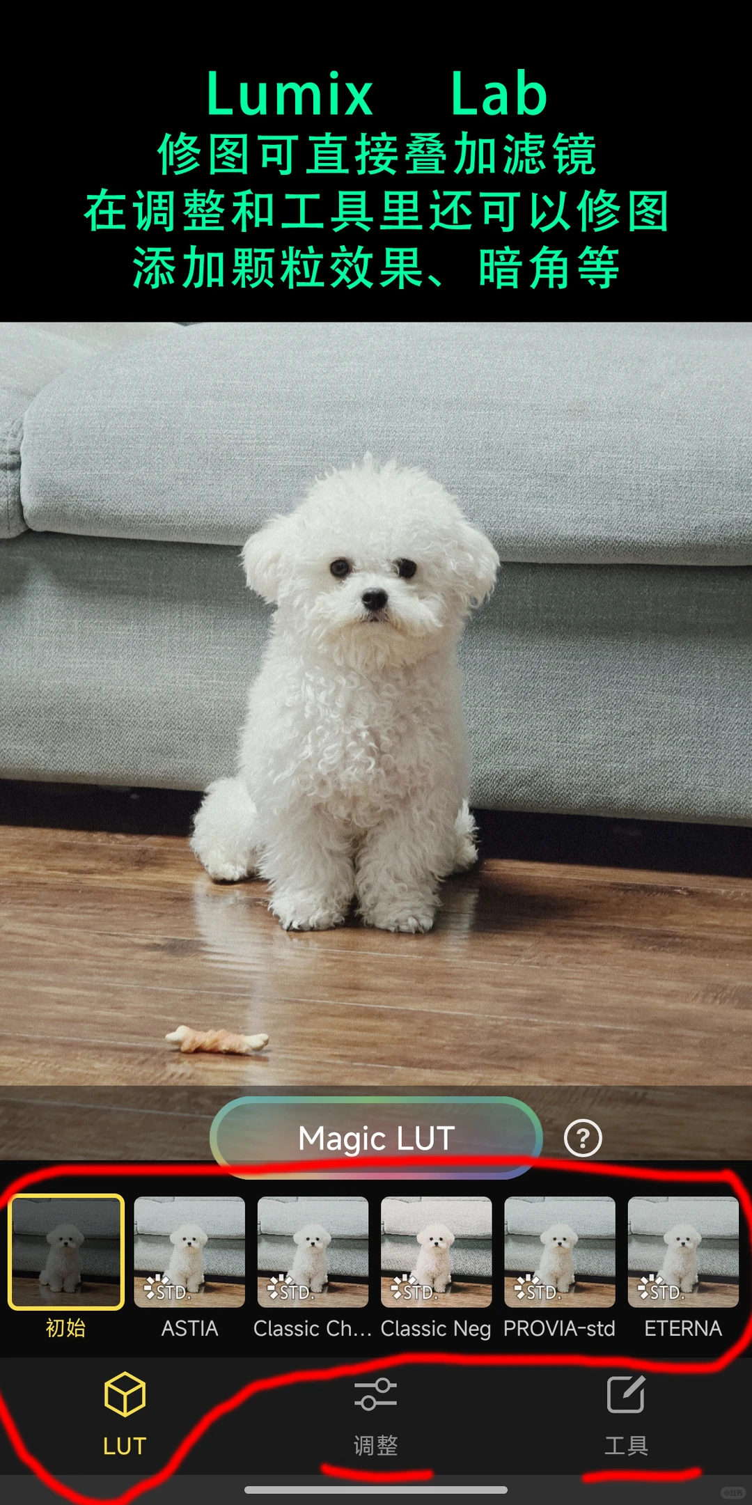 富士官方滤镜手机拍照直出 安卓苹果都支持