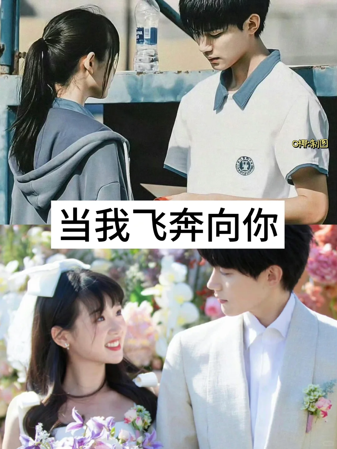 21部熬夜必追的短剧，看过五部以上算我输❗️