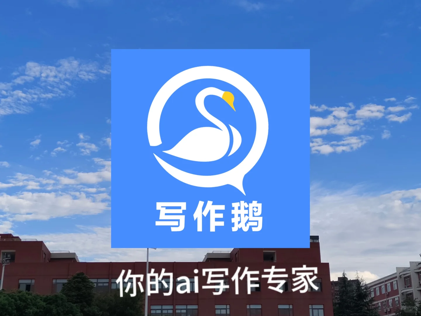 主播必备！！！