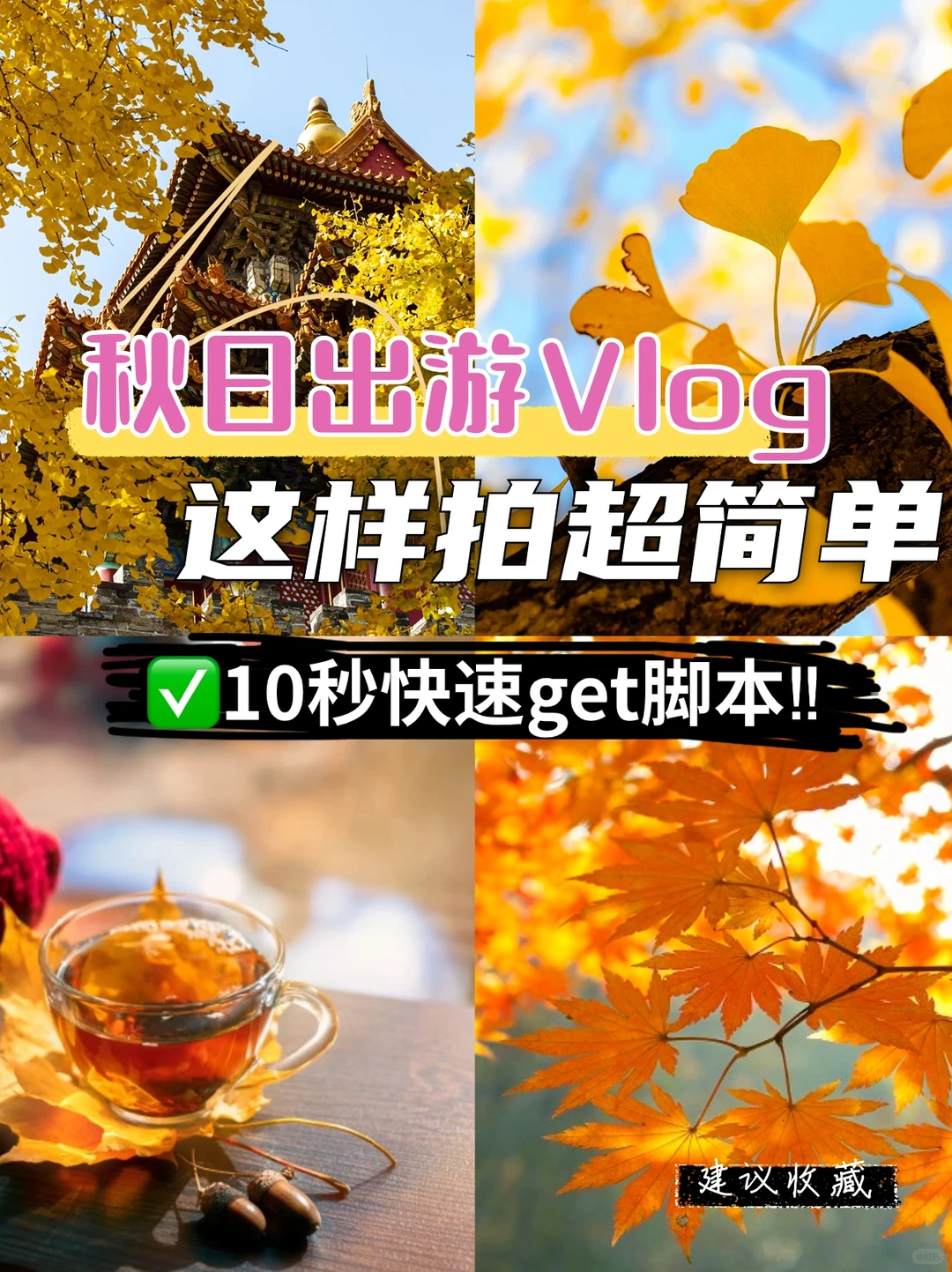 戳中心巴的🍁秋日出游vlog脚本