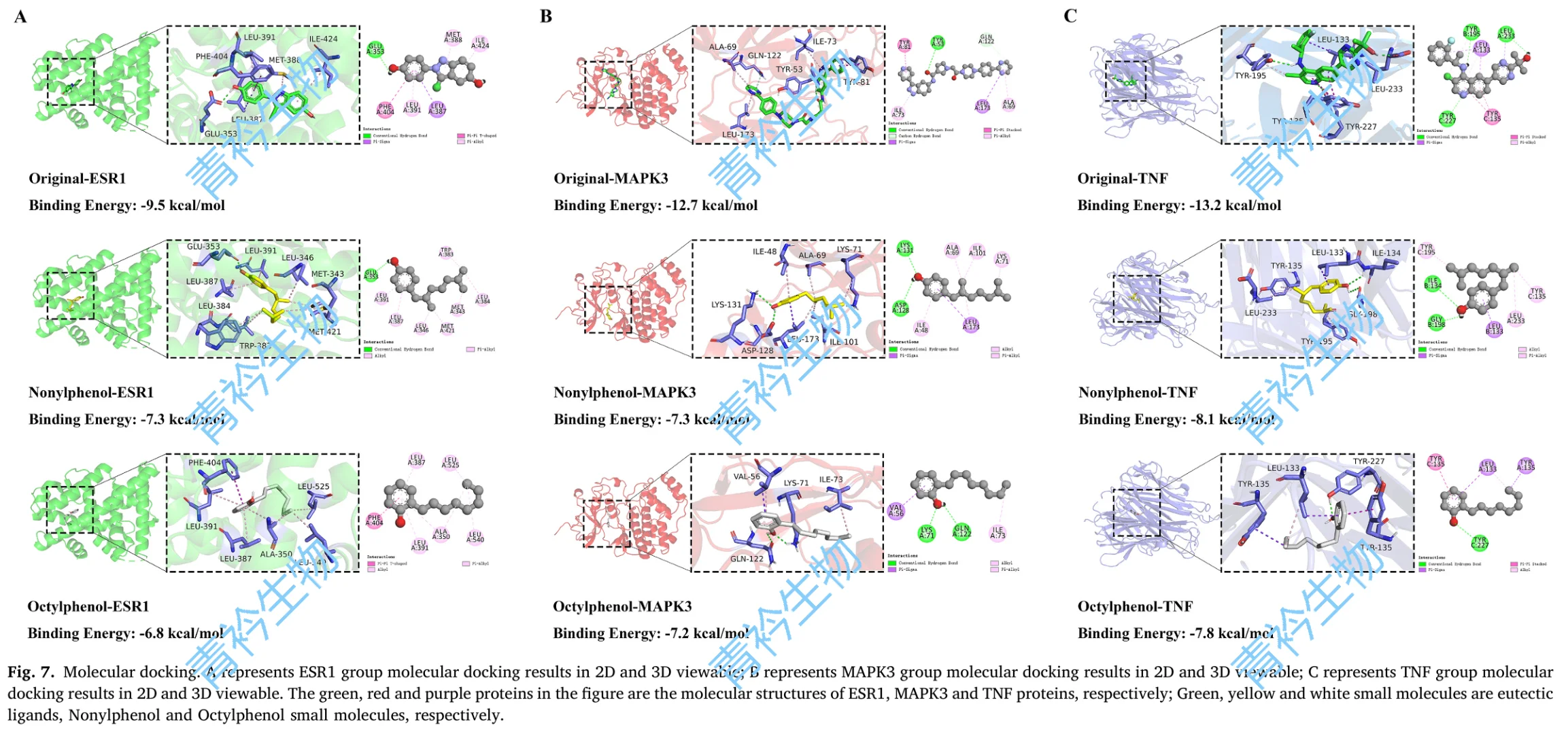 分享★分子对接★第二期常见问题与软件分享