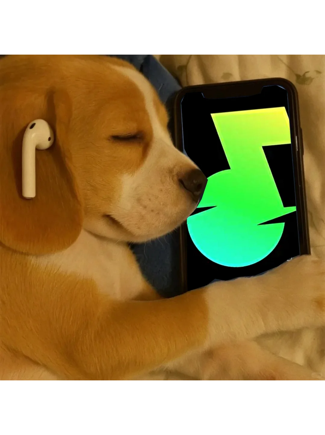 🎶听歌不花钱！免费app带你畅享海量曲库