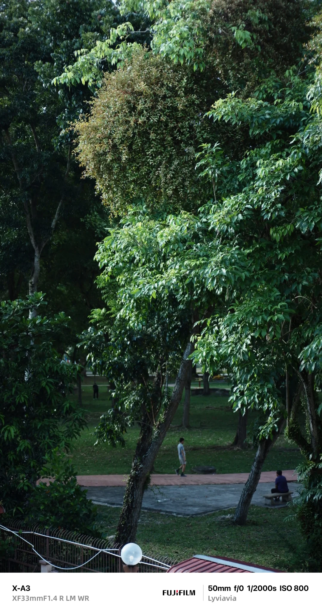 🎞️ 宝藏APP FUJISTYLE